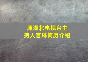 原湖北电视台主持人官琳简历介绍