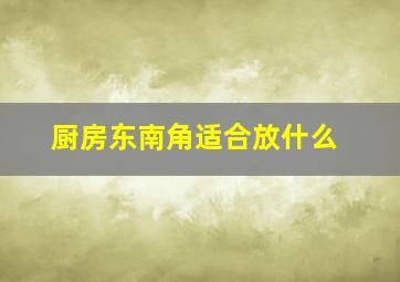 厨房东南角适合放什么