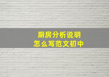 厨房分析说明怎么写范文初中