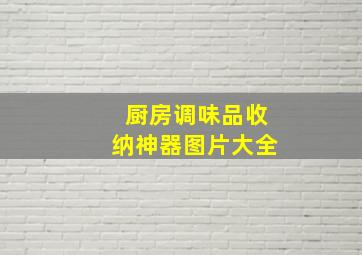 厨房调味品收纳神器图片大全