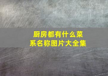 厨房都有什么菜系名称图片大全集