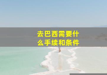 去巴西需要什么手续和条件