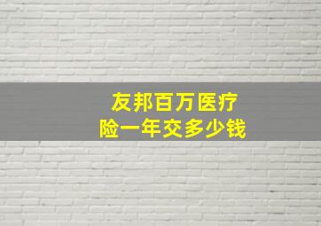 友邦百万医疗险一年交多少钱