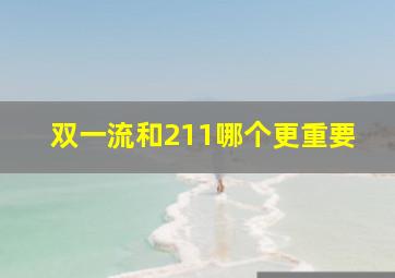 双一流和211哪个更重要