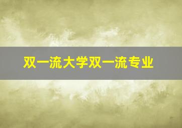 双一流大学双一流专业