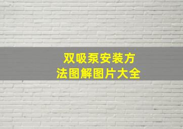 双吸泵安装方法图解图片大全