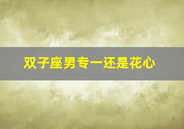 双子座男专一还是花心