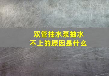 双管抽水泵抽水不上的原因是什么