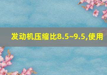 发动机压缩比8.5~9.5,使用