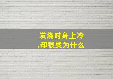 发烧时身上冷,却很烫为什么