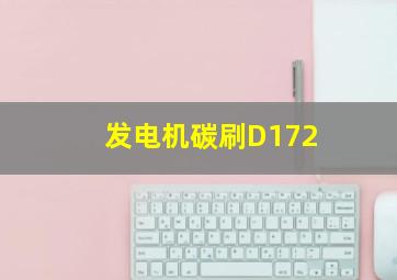 发电机碳刷D172