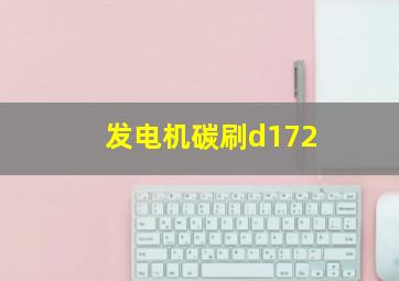 发电机碳刷d172