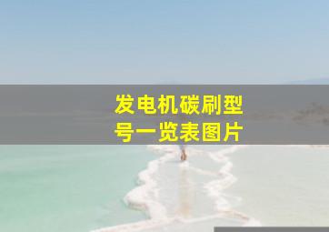 发电机碳刷型号一览表图片