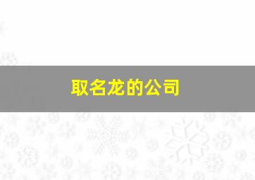 取名龙的公司