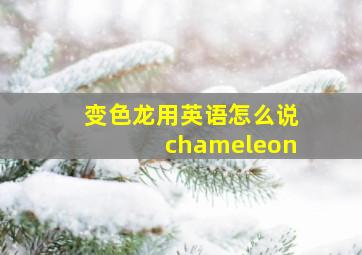 变色龙用英语怎么说chameleon