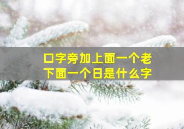 口字旁加上面一个老下面一个日是什么字