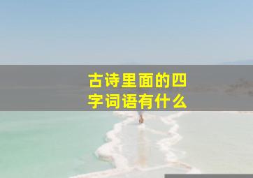 古诗里面的四字词语有什么