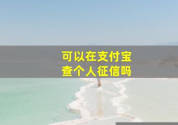 可以在支付宝查个人征信吗