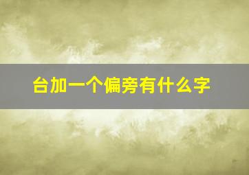 台加一个偏旁有什么字