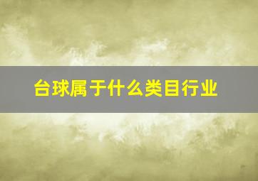 台球属于什么类目行业