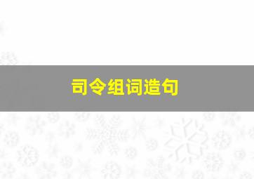 司令组词造句