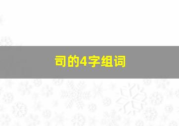 司的4字组词