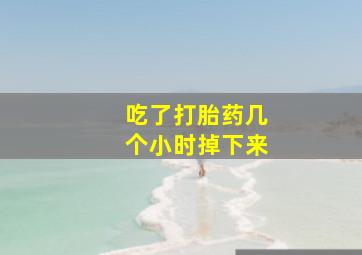 吃了打胎药几个小时掉下来