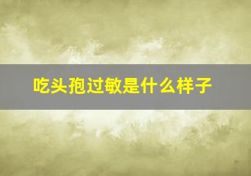 吃头孢过敏是什么样子