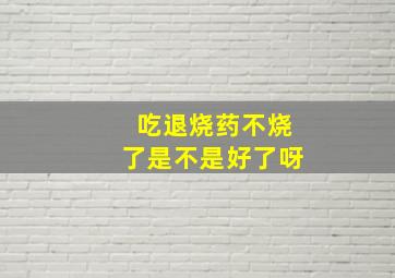 吃退烧药不烧了是不是好了呀