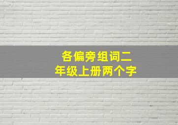 各偏旁组词二年级上册两个字