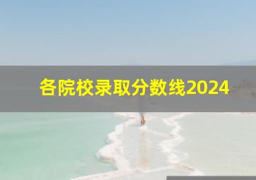 各院校录取分数线2024