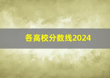 各高校分数线2024