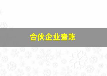 合伙企业查账