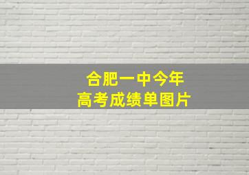 合肥一中今年高考成绩单图片