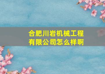 合肥川岩机械工程有限公司怎么样啊