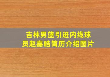 吉林男篮引进内线球员赵嘉皓简历介绍图片