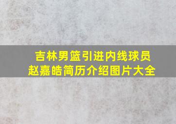 吉林男篮引进内线球员赵嘉皓简历介绍图片大全