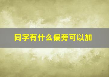 同字有什么偏旁可以加