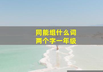 同能组什么词两个字一年级