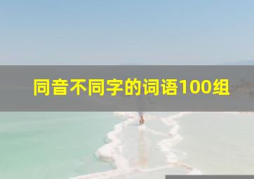 同音不同字的词语100组