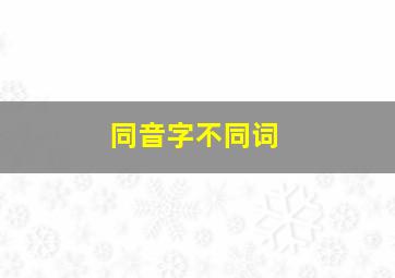 同音字不同词