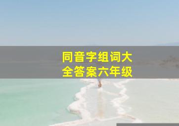 同音字组词大全答案六年级