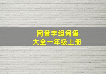 同音字组词语大全一年级上册