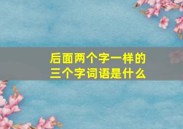 后面两个字一样的三个字词语是什么