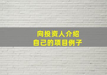 向投资人介绍自己的项目例子