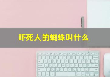 吓死人的蜘蛛叫什么