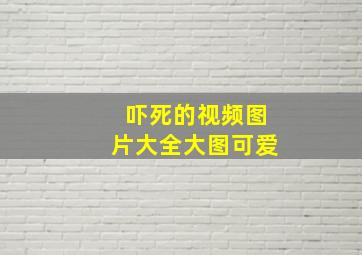 吓死的视频图片大全大图可爱