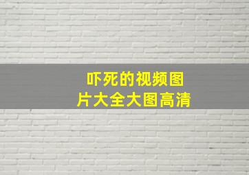 吓死的视频图片大全大图高清