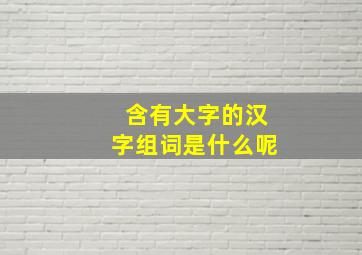 含有大字的汉字组词是什么呢