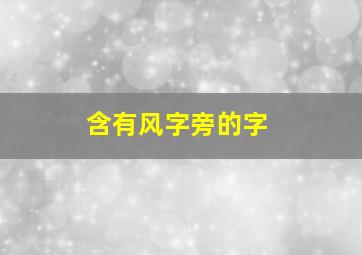 含有风字旁的字